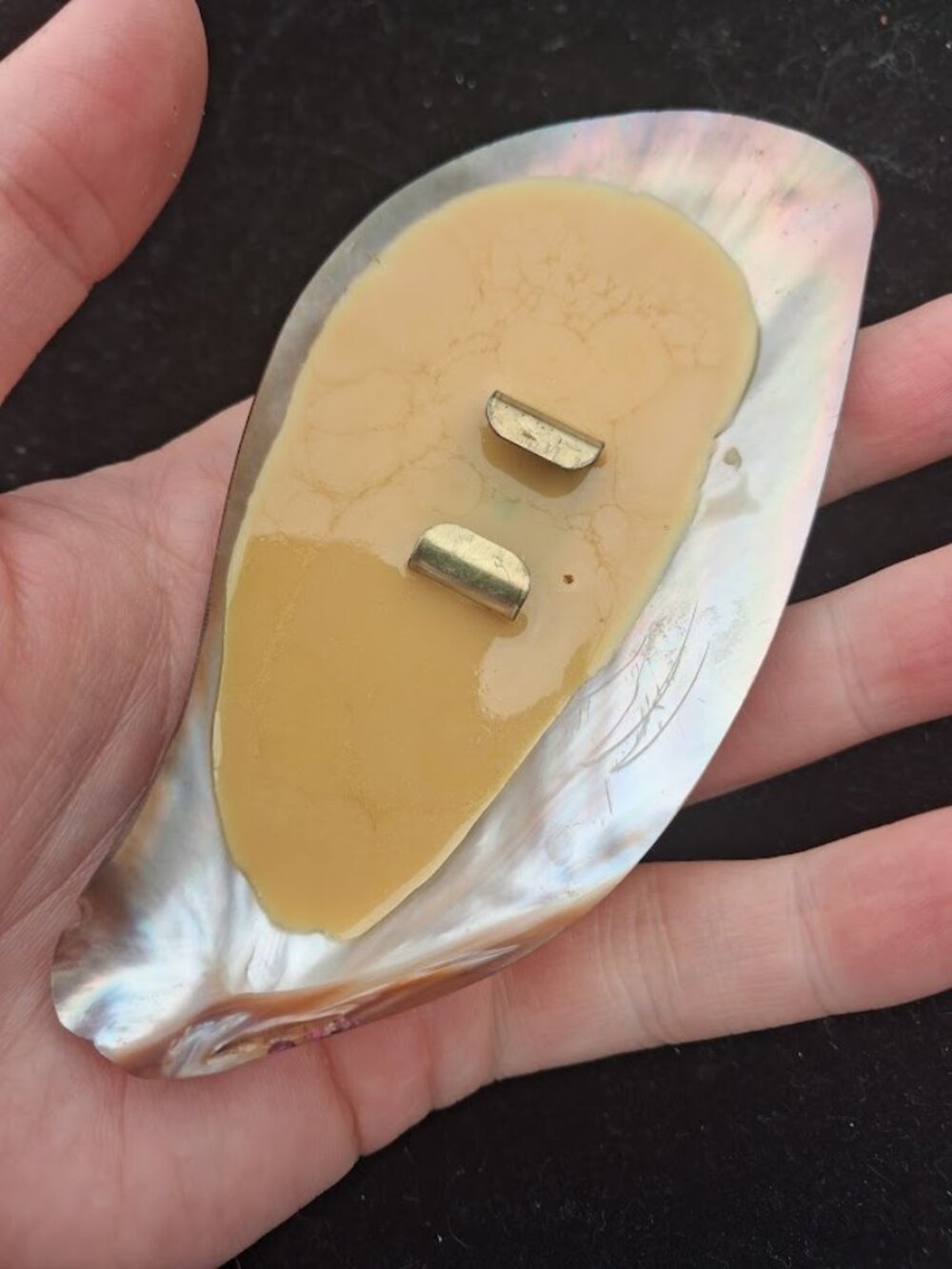 Shell Buckle - Picture 3 of 3